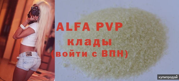прущие грибы Дмитриев