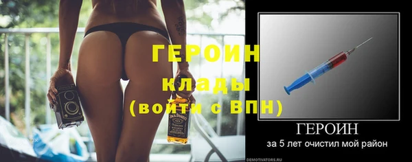 прущие грибы Дмитриев