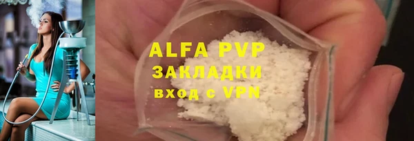 прущие грибы Дмитриев