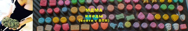 прущие грибы Дмитриев