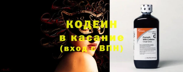 прущие грибы Дмитриев