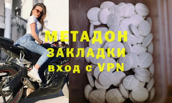 прущие грибы Дмитриев