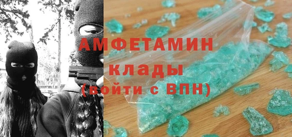 прущие грибы Дмитриев
