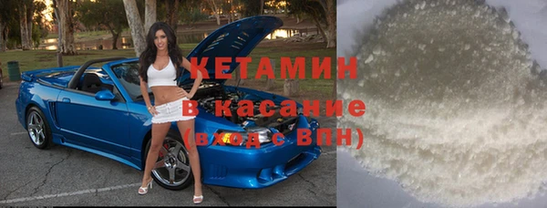 прущие грибы Дмитриев
