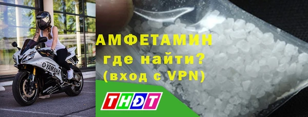 прущие грибы Дмитриев